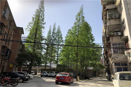 清河畔景彩虹苑3室2厅1卫56万131m2出售